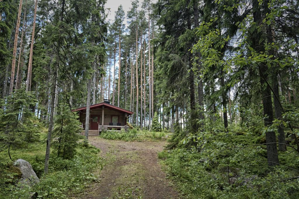 Вилла Hevossilta Форсса Экстерьер фото